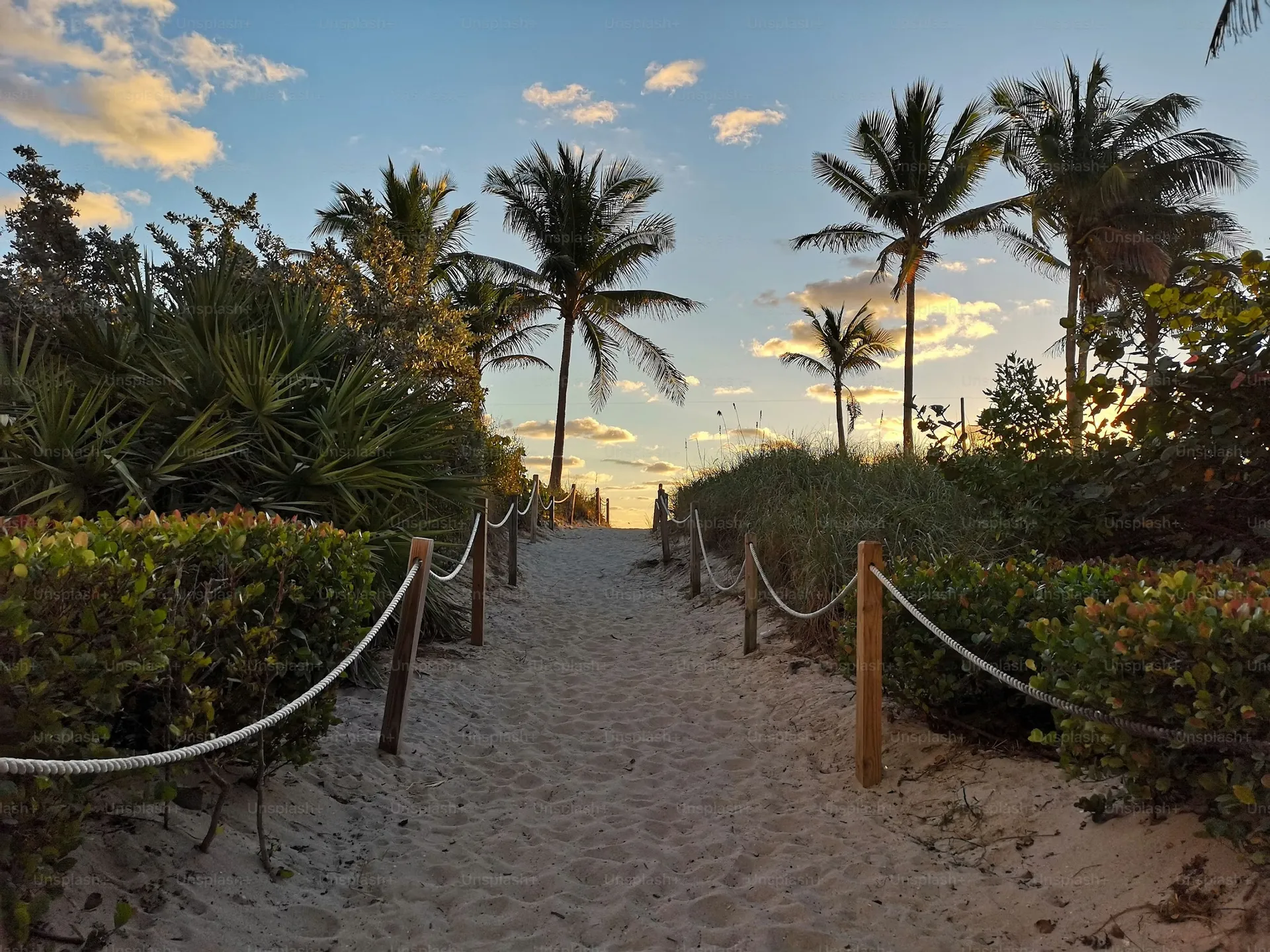Sandy path leading to a Florida beach at golden hour with palm trees