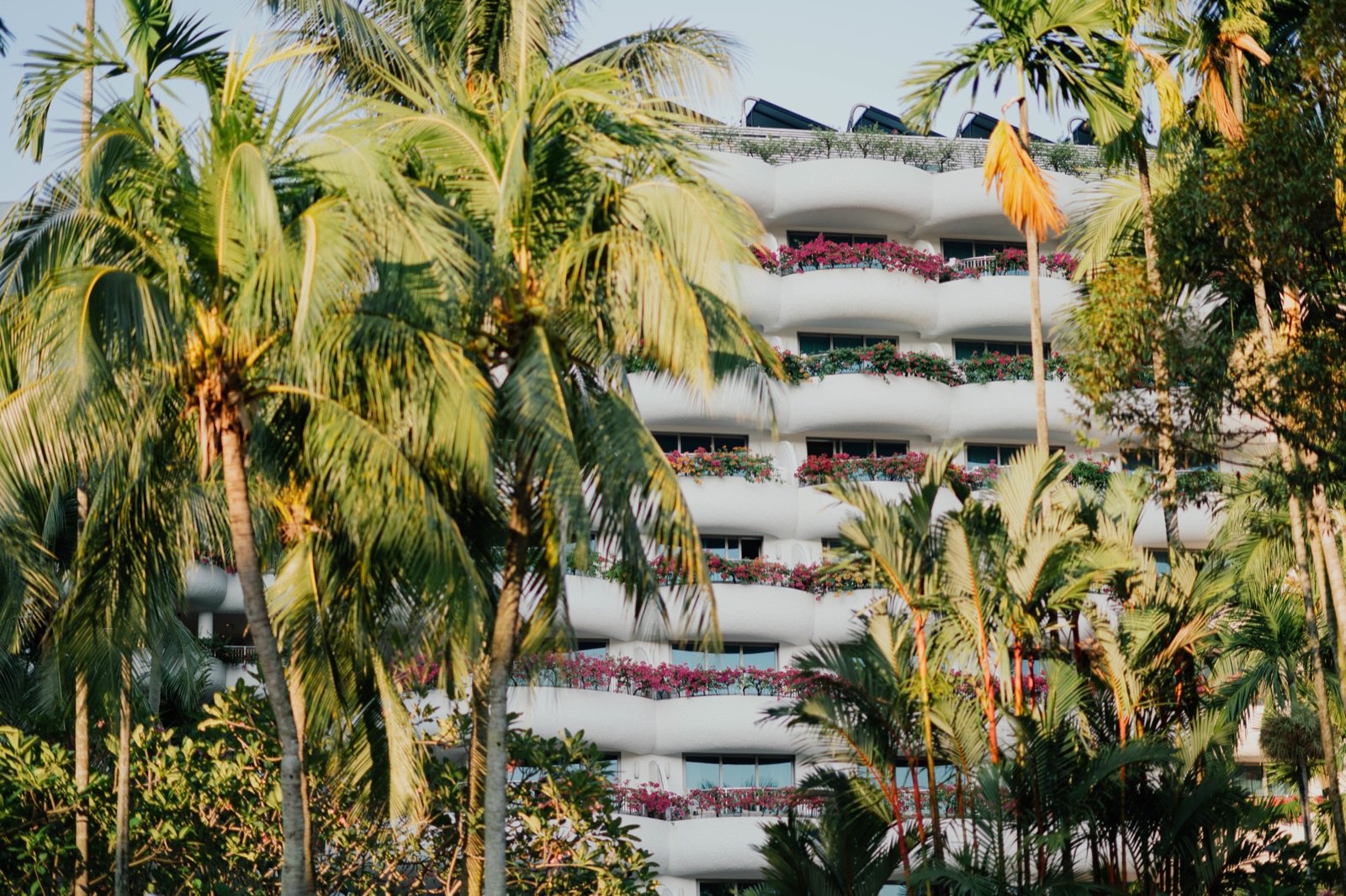 Resort property among palm trees, representing vacation rental and short term rental management in Central Florida
